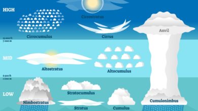cloud types